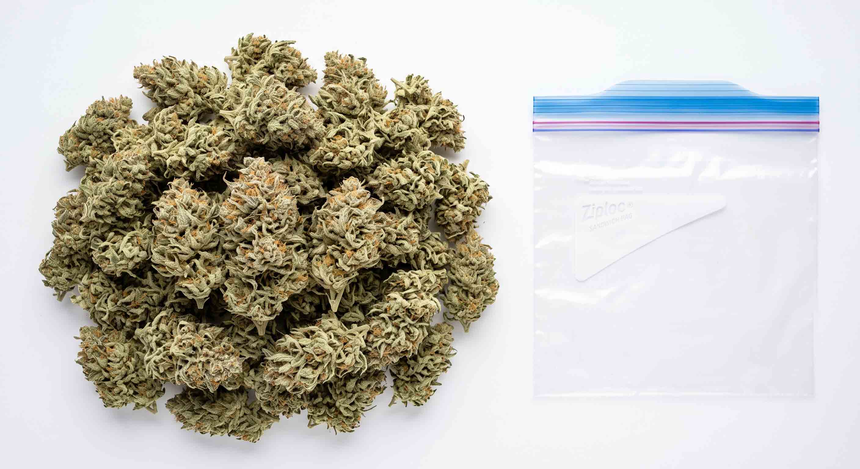 visual comparison of what does a zip of weed look like vs an eighth in mylar bag