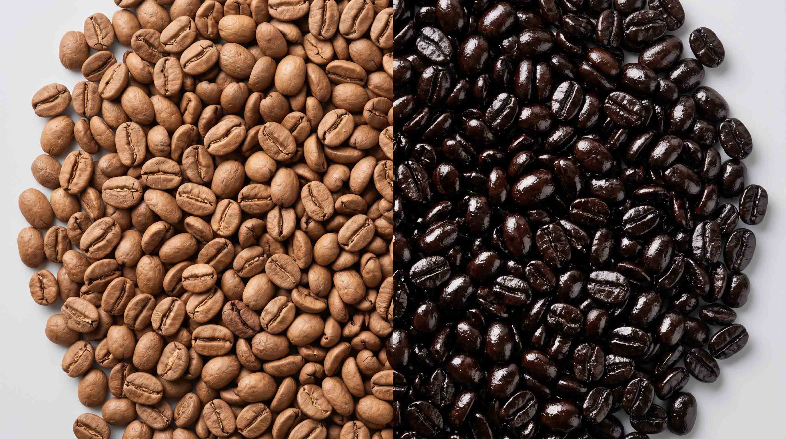 Comparison of dry light roast coffee beans versus oily dark roast coffee beans.